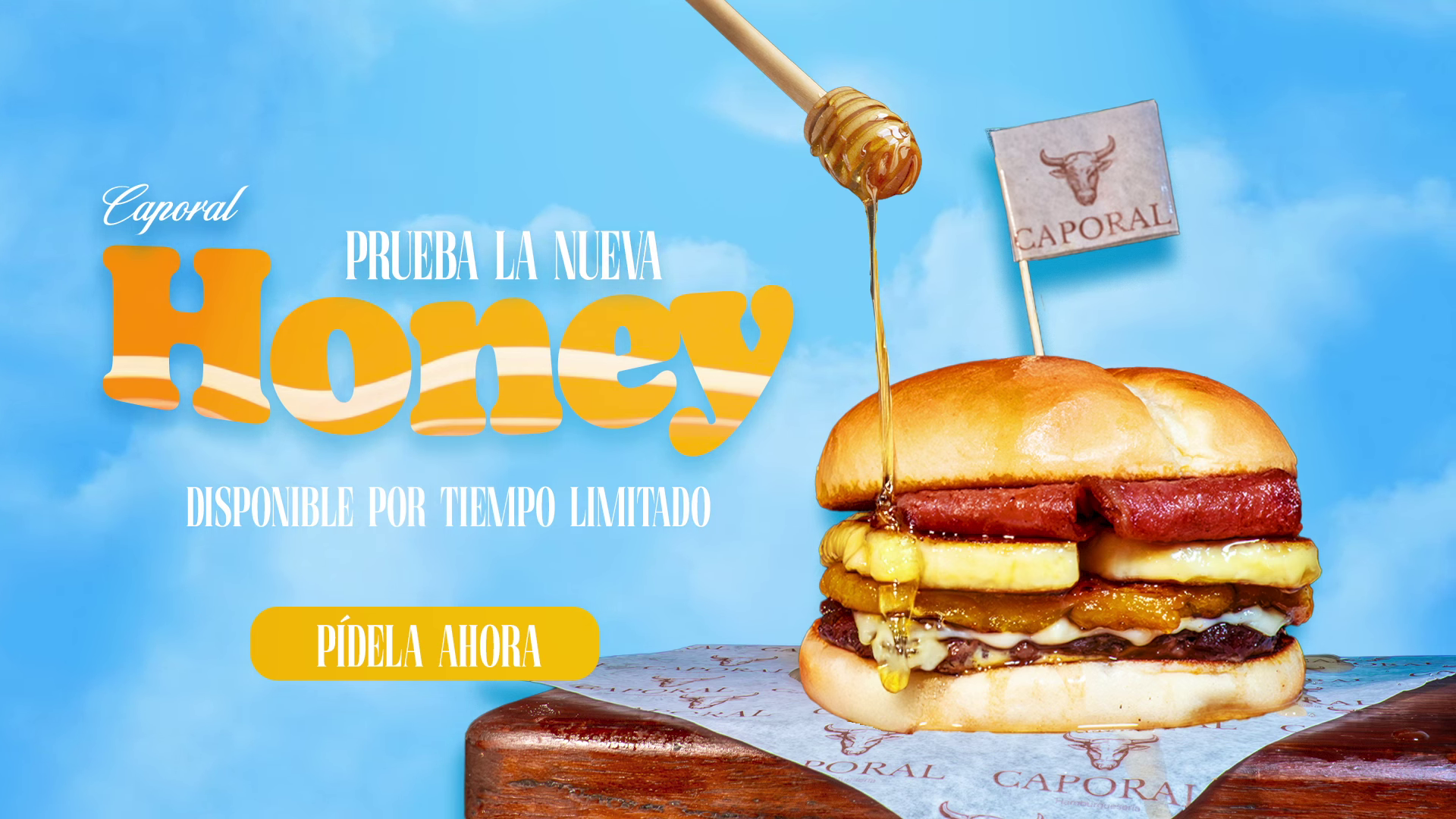 Ver proyecto