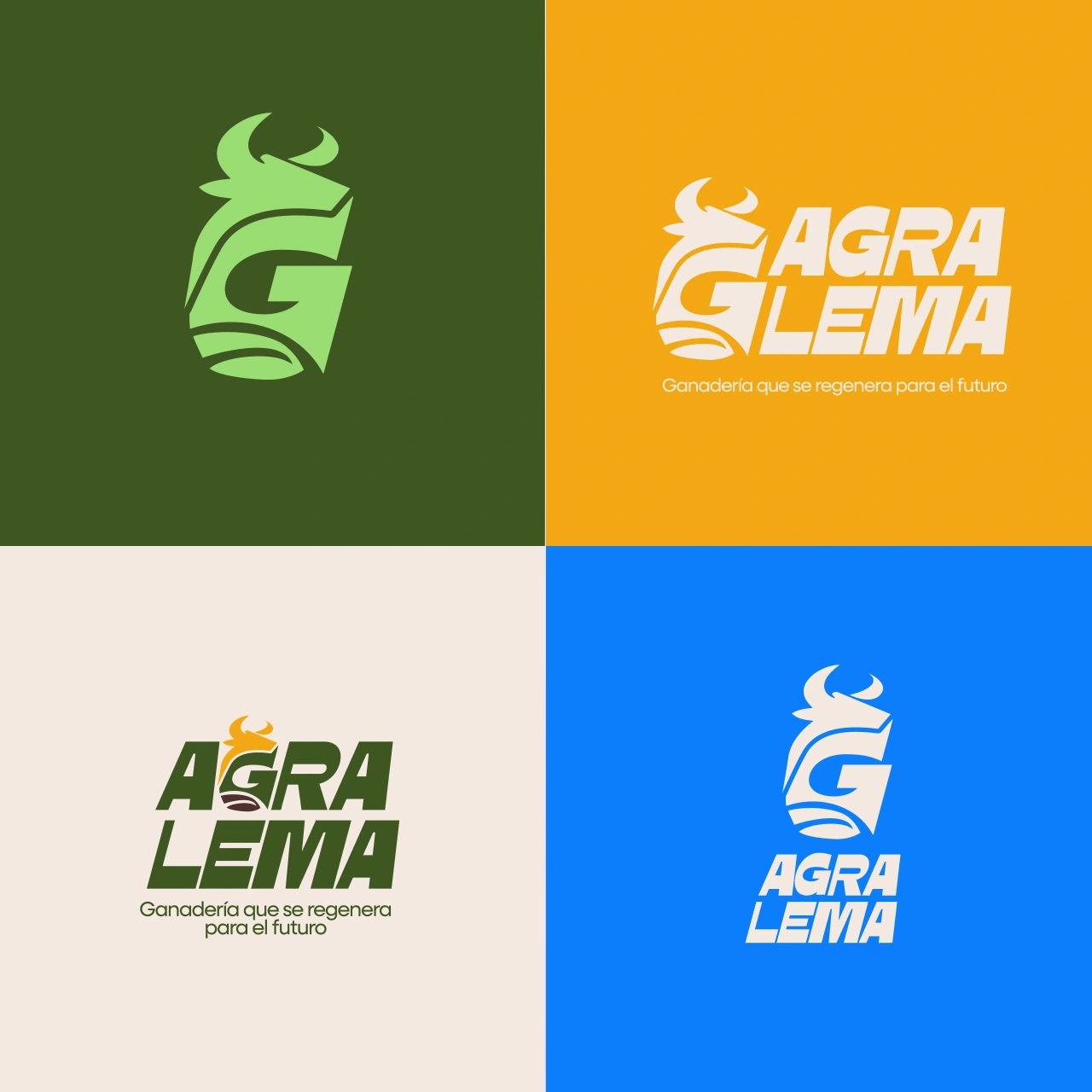 Imagen de proyecto