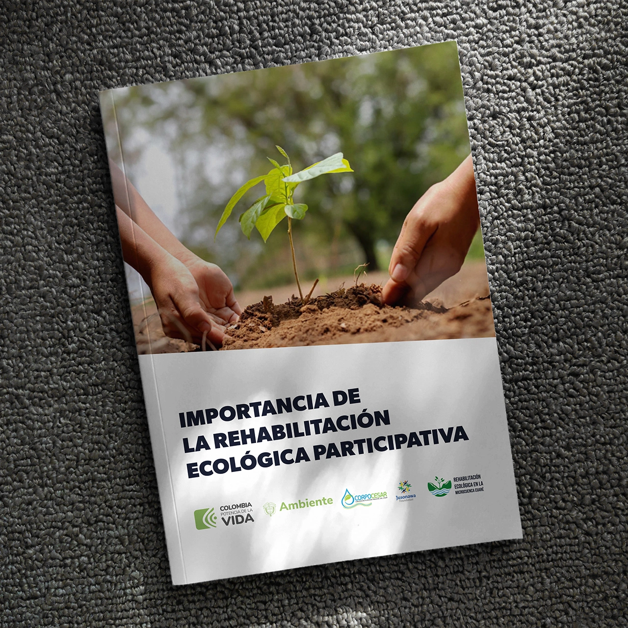 Imagen de proyecto