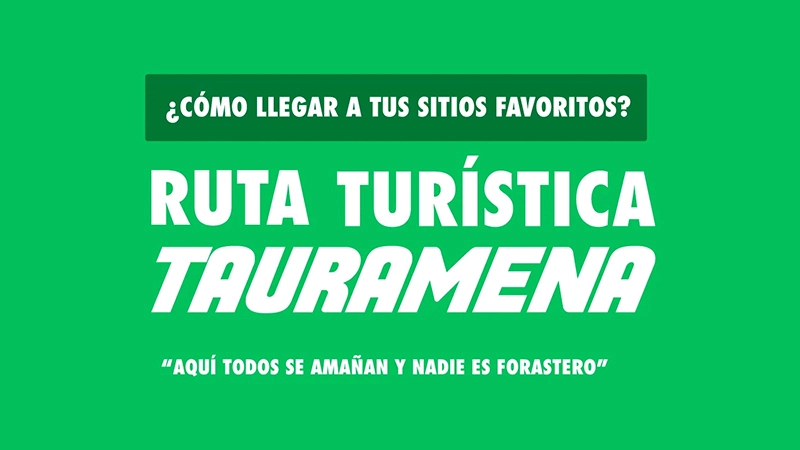 Ver proyectos